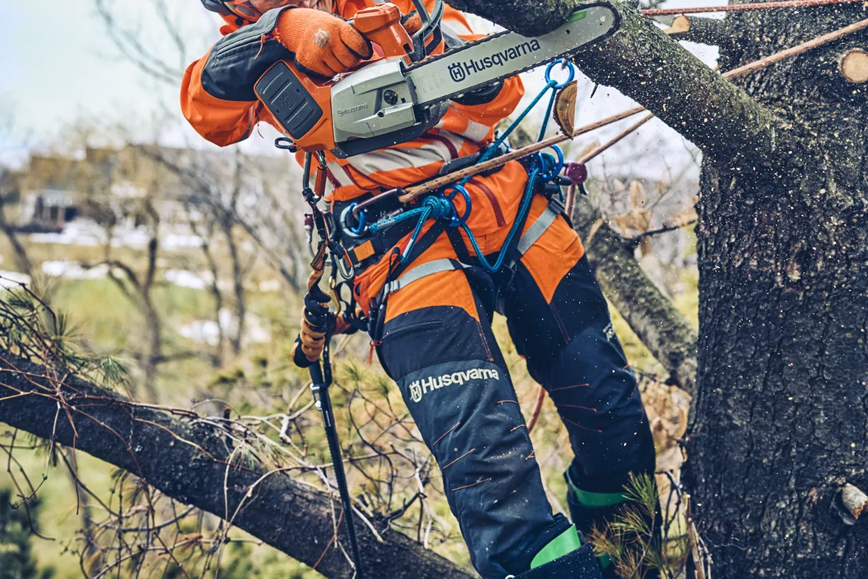 Crown raising is a pruning technique that involves selectively removing lower branches or limbs from a tree to increase the distance between the ground and the lowest branches of the canopy.