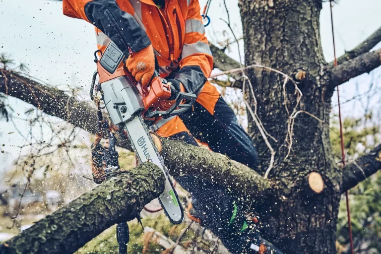 Tree Crown Reduction Services